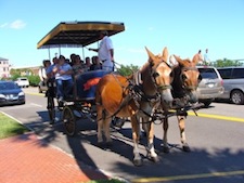 Image of horse drawn carriage tour in Charleston