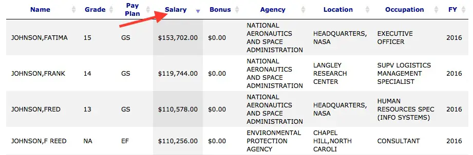 Screenshot showing salary results after searching for name 'Johnson'