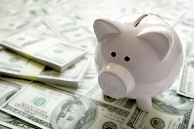 Image of a piggy bank on a stack of cash