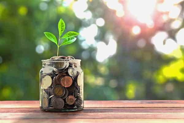 Jar of coins with a plant growing out of it depicting savings growth