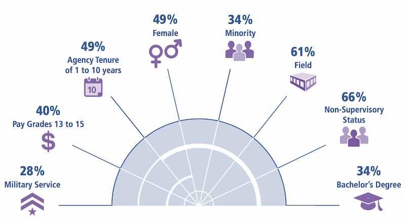 Image depicting percentages of the demographics of the 2017 FEVS respondents