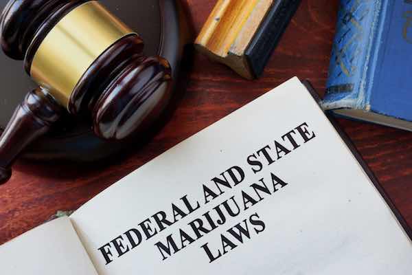 Federal and State Marijuana Laws title on a book and gavel