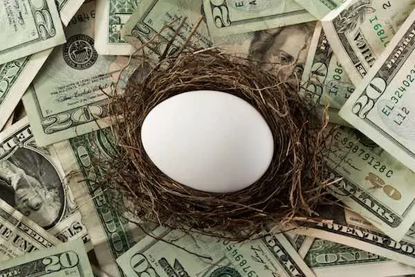 A white egg in a straw nest over a pile of dollar bills
