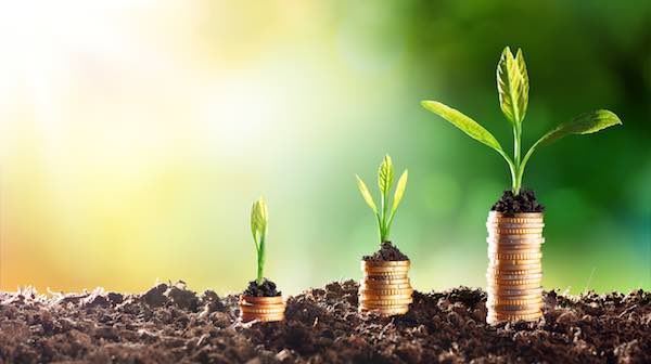 Plant growing on top of three individual stacks of coins that get taller from left to right depicting financial gains and growing wealth