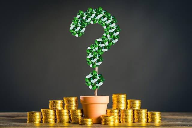 Potted plant in the shape of a green question mark surrounded by stacks of gold coins depicting questions/uncertainty about a pay raise or money