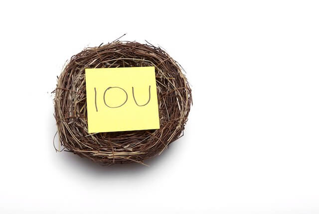 Empty nest with a yellow post it note sitting in the middle of it that reads 'IOU' depicting a TSP loan