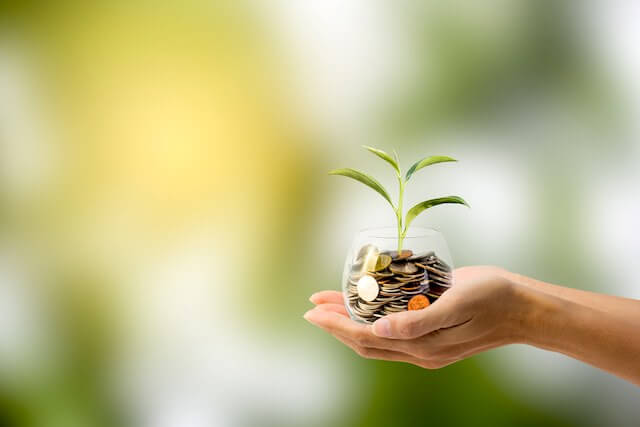 Woman's cupped hands holding a jar of coins with a green plant growing out of it depicting attention to a financial plan that spurs long term wealth/growth of money