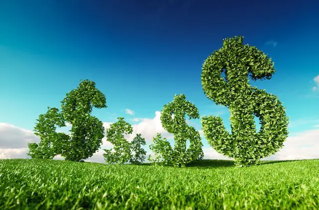 Group of large dollar signs made out of leaves in a lush, green farm field depicting eco-friendly business practices