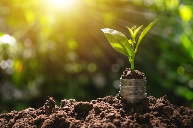 Plant appearing to grow out of vertical stack of coins in the dirt with the sun shining over it