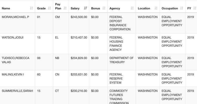 Screenshot showing results of the federal employee salary database search for occupation "equal employment opportunity" in location "washington" for fiscal year 2019