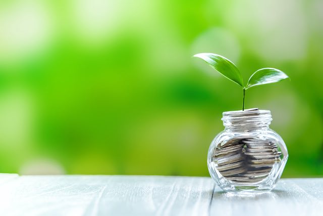 Plant growing out of a jar of coins sitting on a wooden surface - retirement savings growth concept
