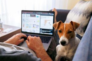 Man reclining on a sofa while working on a laptop with a dog lying next to him