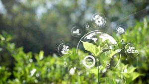 green plant with icons around it depicting environmental, social, and governance (ESG) concepts