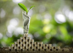 Stacks of coins in a pyramid shape and a rolled up $100 bill on top with a plant growing out of it